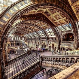 The-Natural History-Museum